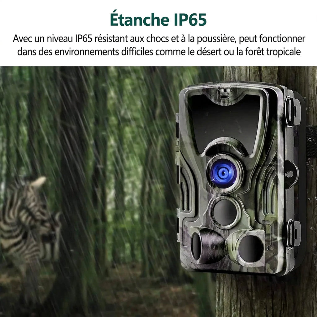 Caméra de Chasse 1080p – Vision Nocturne et Écran 2 pouces