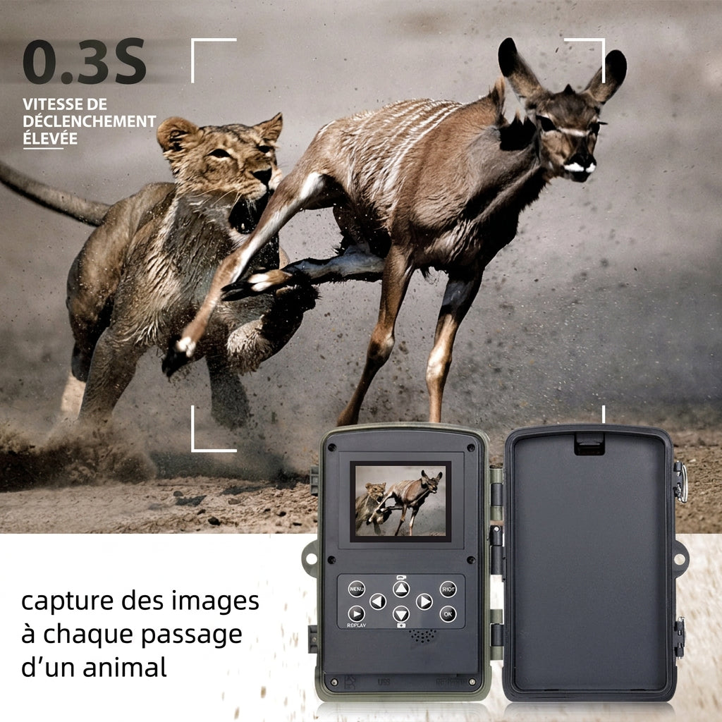 Caméra de Chasse 1080p – Vision Nocturne et Écran 2 pouces