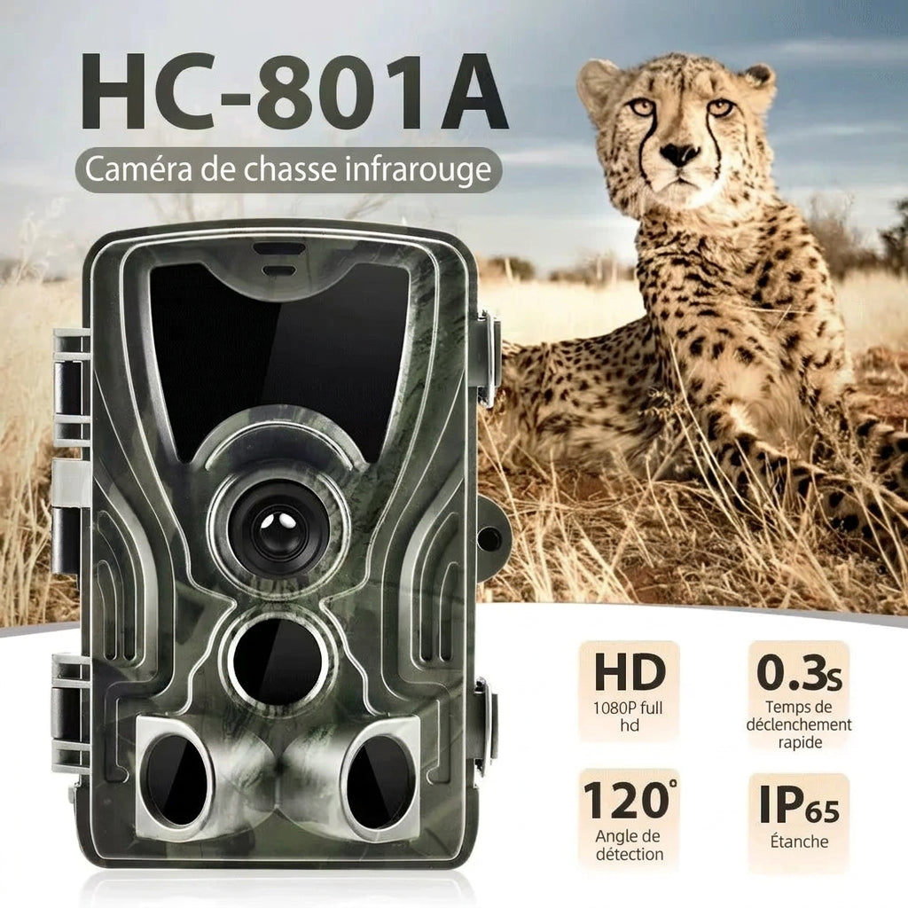 Caméra de Chasse 1080p – Vision Nocturne et Écran 2 pouces