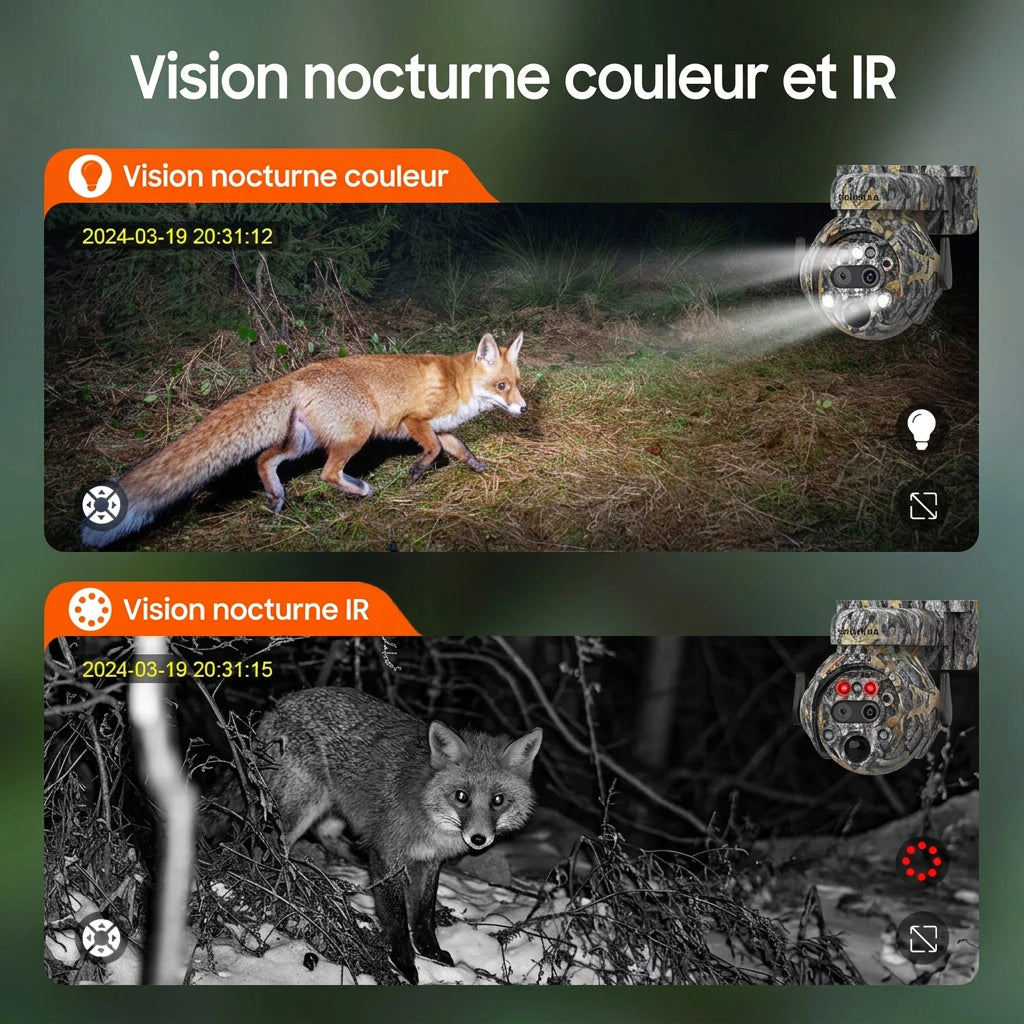 Caméra de Chasse Solaire 4G